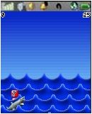 Shark Attack